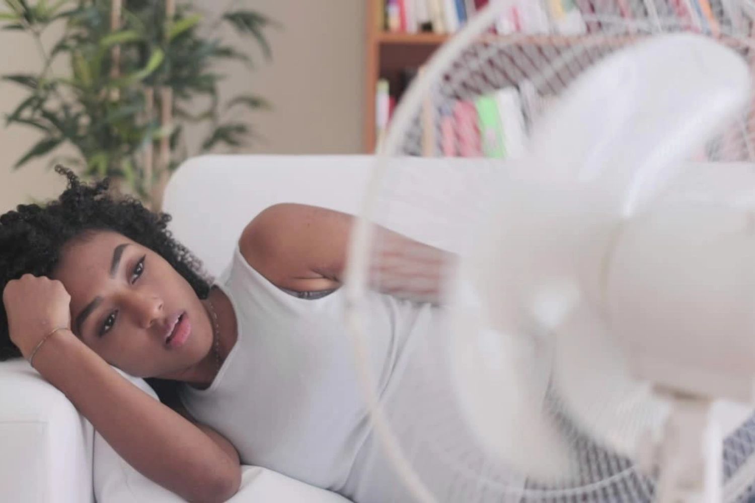 D Davis AC & Pest Control Services